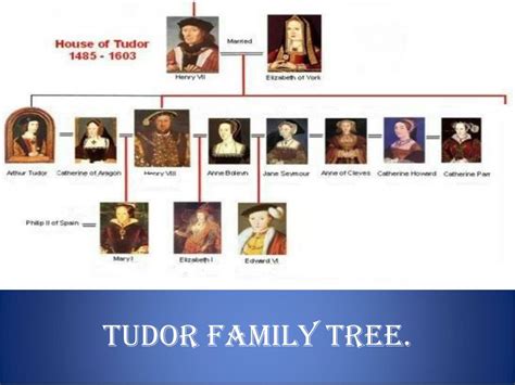 tudor genealogy|tudor family tree identification.